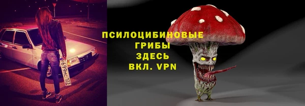 PSILOCYBIN Беломорск