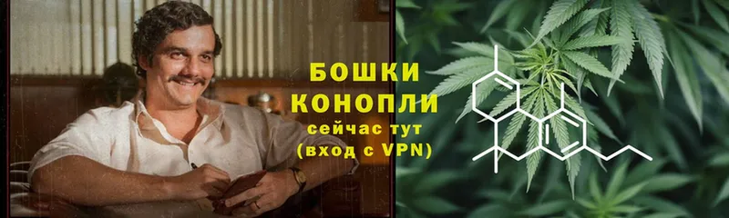 Каннабис индика  Губкинский 